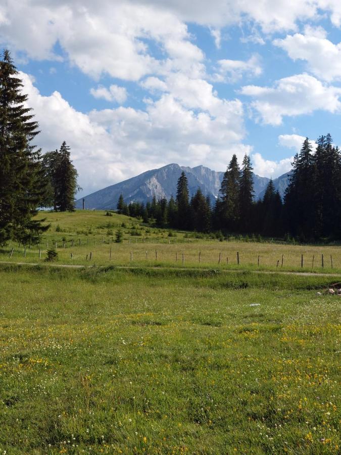 Sumski Raj Žabljak Kültér fotó